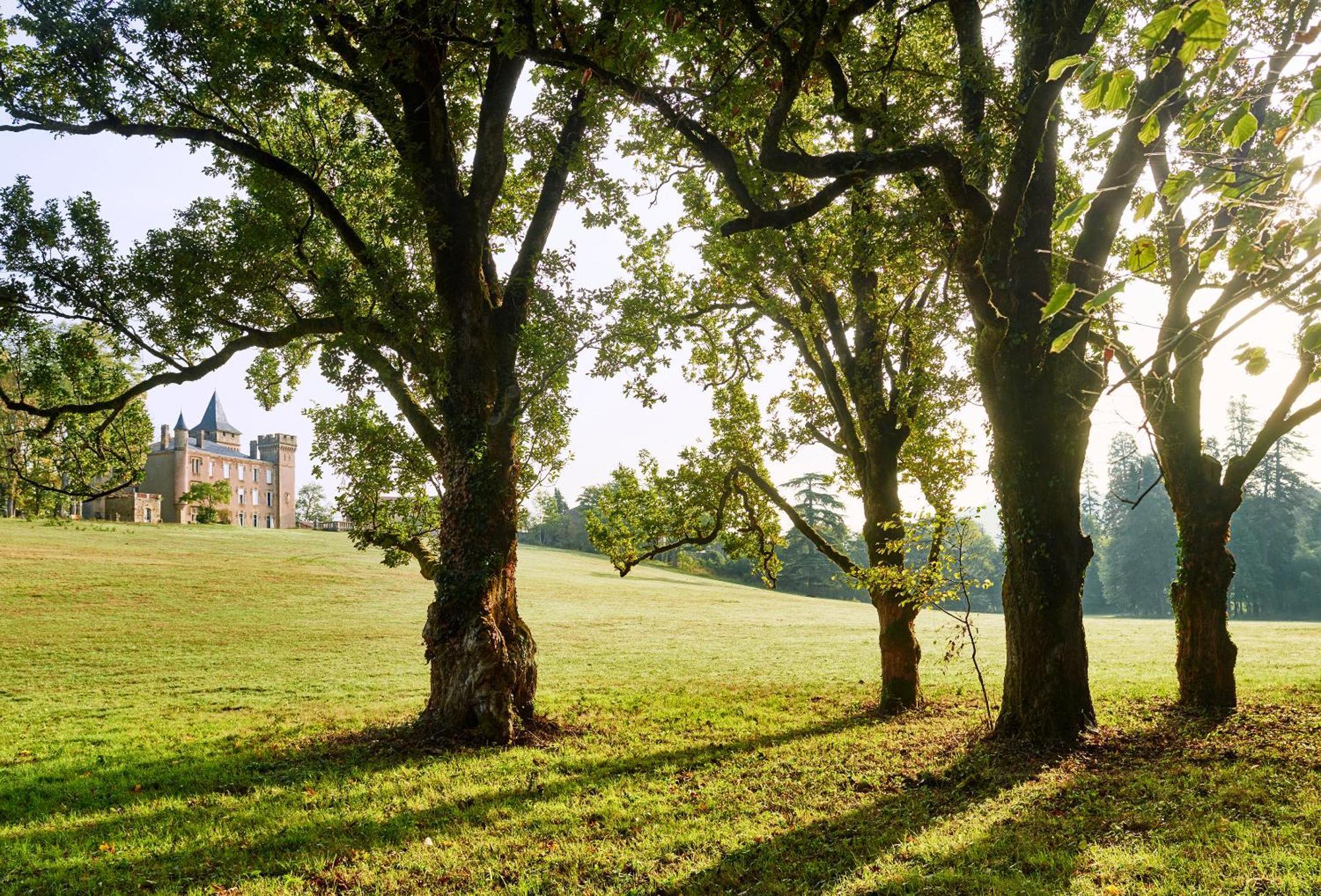 Chateau De Sibra Lagarde (Ariege) Exterior foto